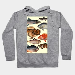 My Lucky Fishing Costume - Freshwater Fish Bass Hoodie